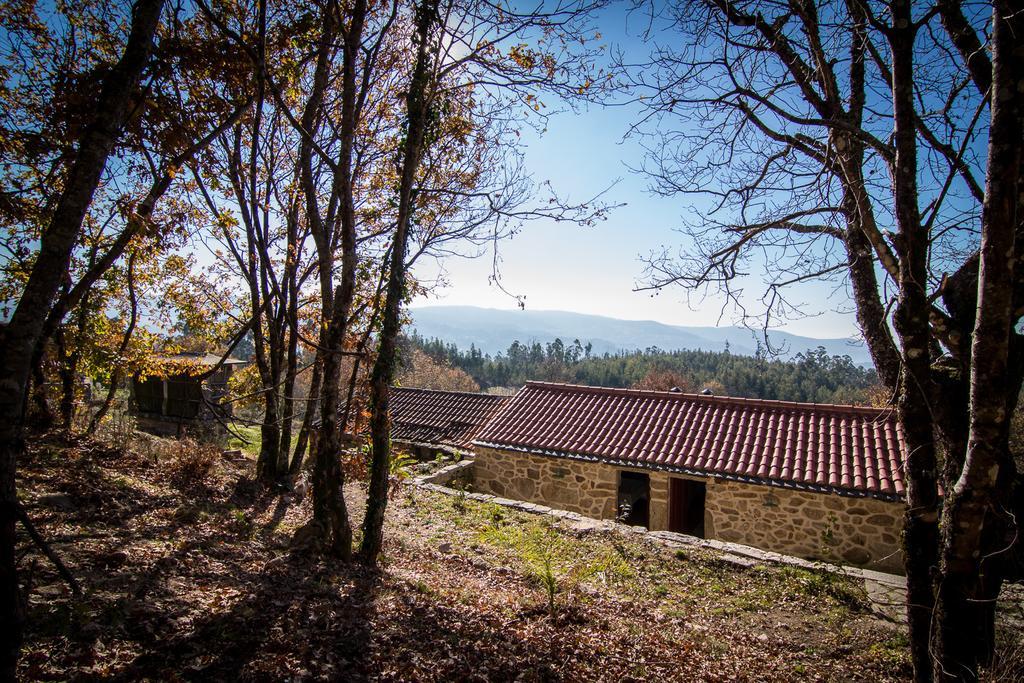 Casas dos Avos Vale de Cambra Quarto foto